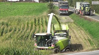: Im Maisfieber:  LU Winderl mit Claas Jaguar 970 - Maisernte 2021