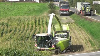 Im Maisfieber:  LU Winderl mit Claas Jaguar 970 - Maisernte 2021