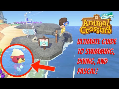 Video: Quando Pascal Animal Crossing?