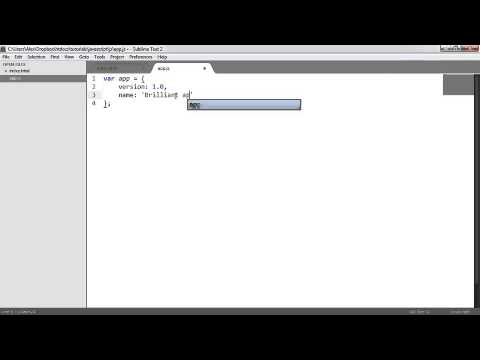 JavaScript for Beginning object define methods