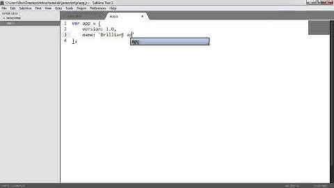 JavaScript for Beginning object define methods