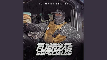 El Mando R Fuerzas Especiales