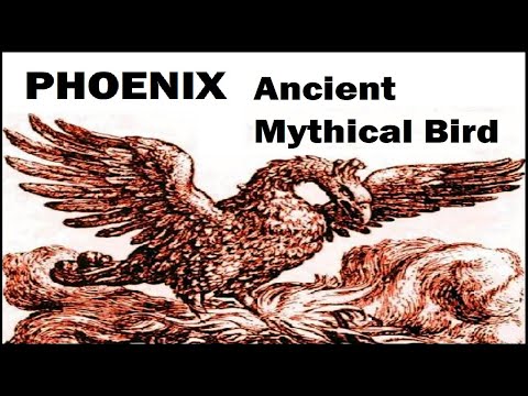 Video: Saan nakatira ang mythical phoenix?