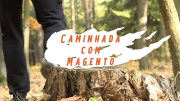 Caminhada com Magento #2 - Graduação ou Certificação Magento?