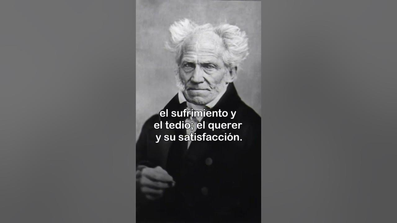 frases filosóficas meme - Arthur Schopenhauer #frases - YouTube