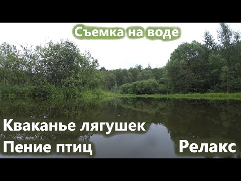 Кваканье лягушек, пение