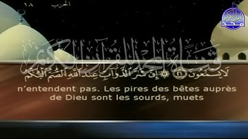 Sourate Al-Anfal | An-Naina (8) سورة الأنفال | احمد نعينع