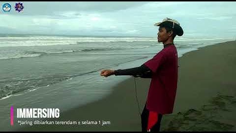 Praktikum MPI - Surface Drift Gillnet