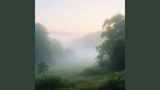 Soft Paradise For Tomorrow