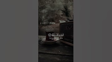 أرأيت إن كذب وتولى ألم يعلم بأن الله يرى | القارئ محمد صديق المنشاوي 🤍