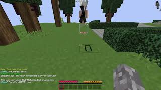 How To Get The Best Fps On 1.8 Eaglercraft...