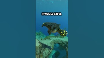 The Reaper Leviathans Secret Weakness