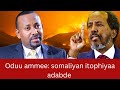 Oduu Ammee Somaliyan Itophiyaa Adabde Shimalis WBO Himate Pirojecti Hedduun Gubate Oduu Ammee Somaliyan Itophiyaa Adabde Shimalis WBO Himate Pirojecti Hedduun Gubate
