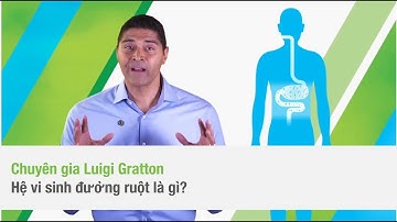 Hệ vi sinh đường ruột là gì?