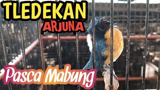 TLEDEKAN GUNUNG ARJUNA PASCA MABUNG