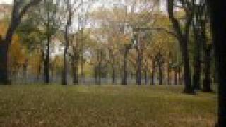 John Coltrane -  Central Park West chords