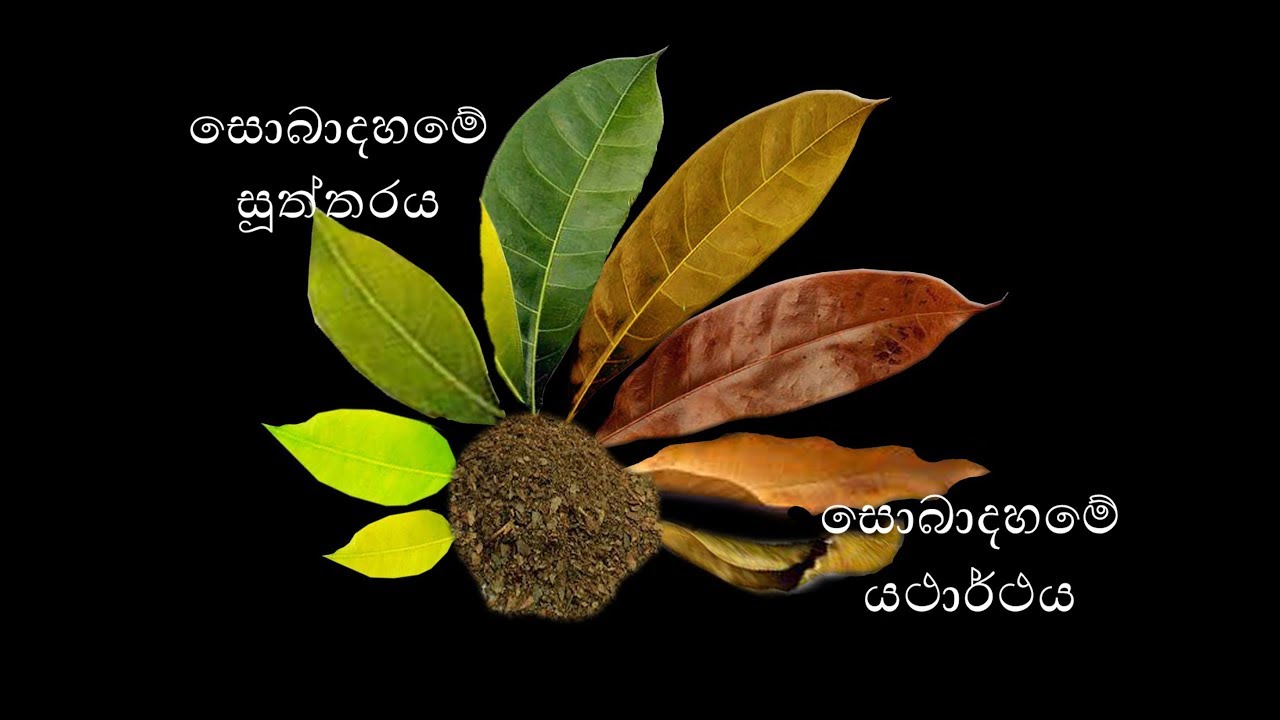 2016 08 20 පස්ගම්මන - Part 1