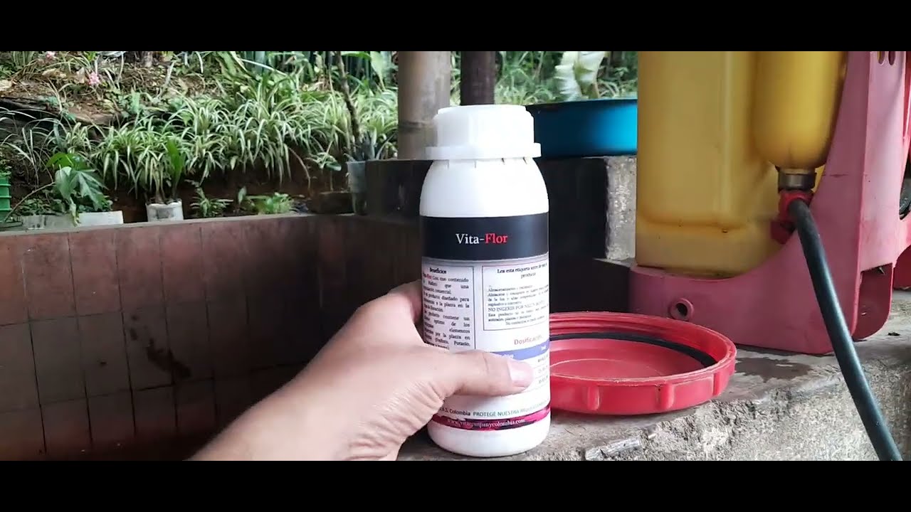 Como lograr mejor floracion en café?  fito hormonas para floracion .