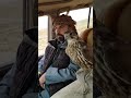 مقناص العراق 2019 عيسى عاكول الزركاني