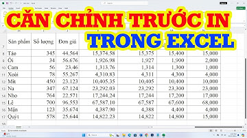 Cách căn chỉnh thông số trước khi in trong Excel