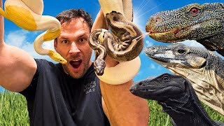 Day In The Life Of A Reptile Keeper