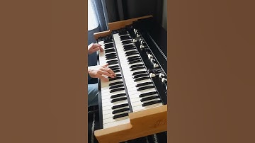 MACEO FUNK GROOVE ORGAN JAM #Shorts