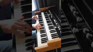 Video thumbnail of "MACEO FUNK GROOVE ORGAN JAM #Shorts"