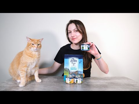 Ziwi Cat Food Review (We Tried It)