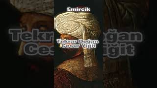 TÜRK KANI#shorts#keşfet#türkkanı#türk#osmanlı#betese