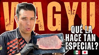 Carne WAGYU KOBE en MÉXICO ¿Por qué es tan CARA?' by Esto está Canijo 762 views 6 months ago 8 minutes, 27 seconds