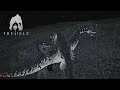 แก๊งแรปเตอร์ออกล่าเหยื่อ | The Isle Evrima Horde-Testing เกาะไดโนเสาร์ SS6 #51