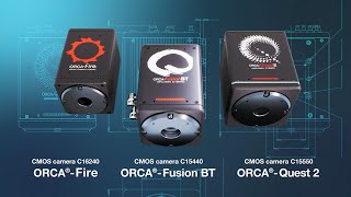 Choosing the Right OEM Camera | Why Hamamatsu Photonics is Your Trusted Partner