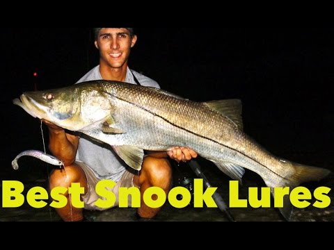 5 BEST Snook Fishing Lures YOU Need To Have! 