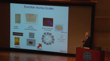John Donoghue: 2012 Allen Institute for Brain Science Symposium