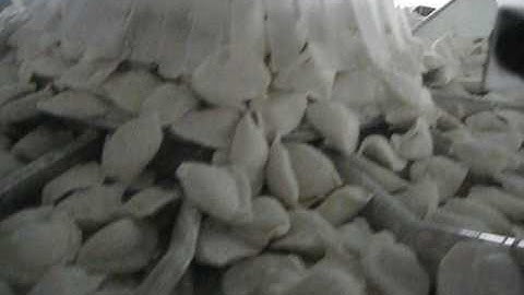 Full automatic weighting packing machine for frozen food, dumpling, meatball