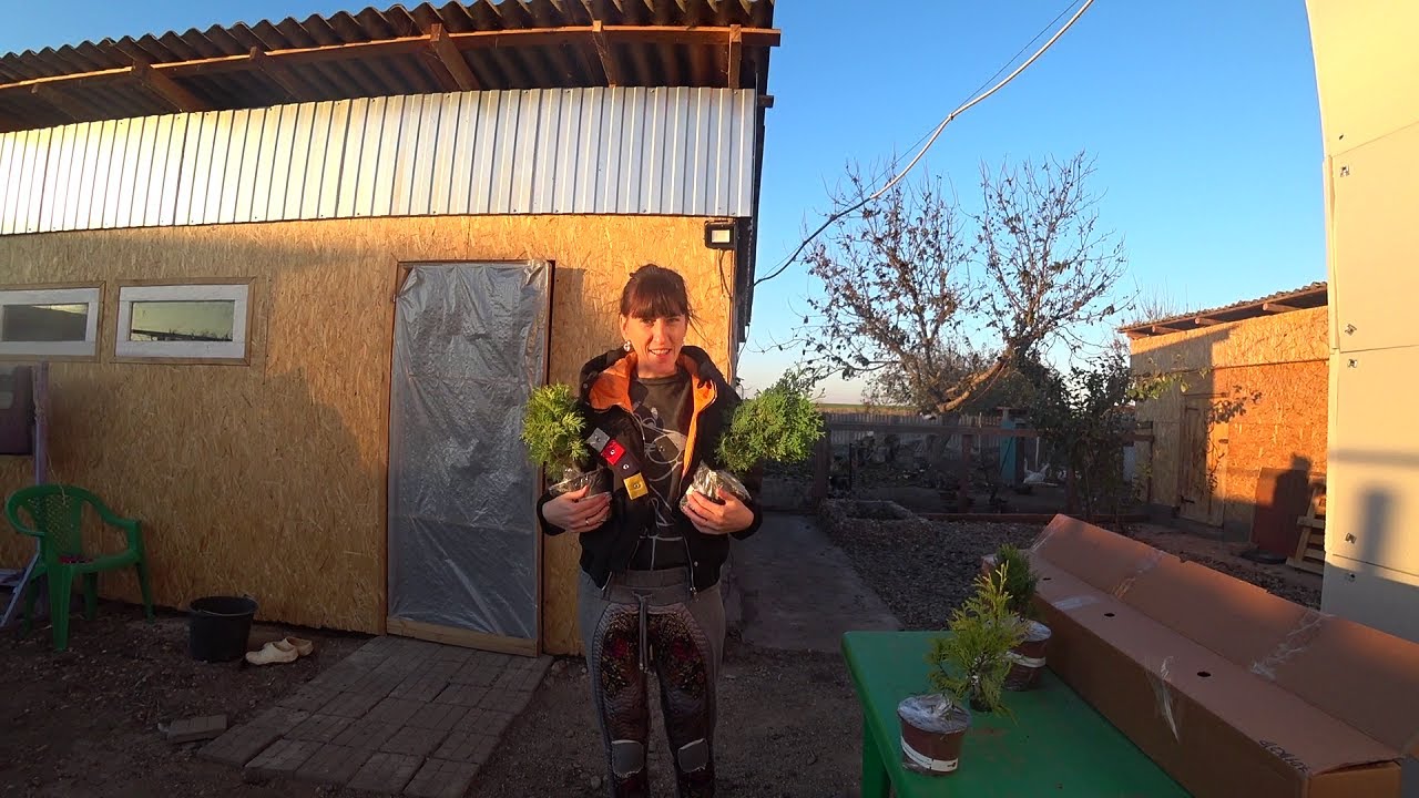 Мы остановились на хуторе где жили. Сочинение аисты тихого 9 класс. Черничный хутор ютуб беларусь. Вечера на хуторе близ диканьки (1961, александр роу). Мы остановились на хуторе где жили.