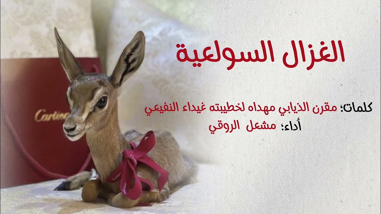 شيلة الغزال السولعية مهداه من مقرن الذيابي لخطيبته غيداء النفيعي