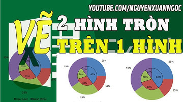 Excel - Vẽ hai biểu đồ hình tròn trong 1 hình