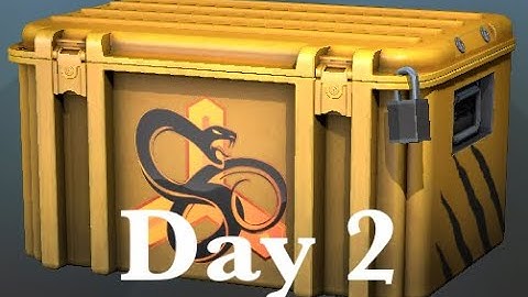 Opening a CS:GO snakebite case until I get a gloves #2