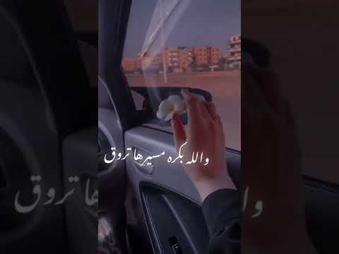لسه هتحلي جنات حالات واتس اب ستوري انستا