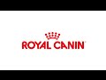 ロイヤルカナンについて ROYAL CANIN 【チャーム】