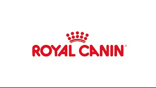 ロイヤルカナンについて ROYAL CANIN 【チャーム】