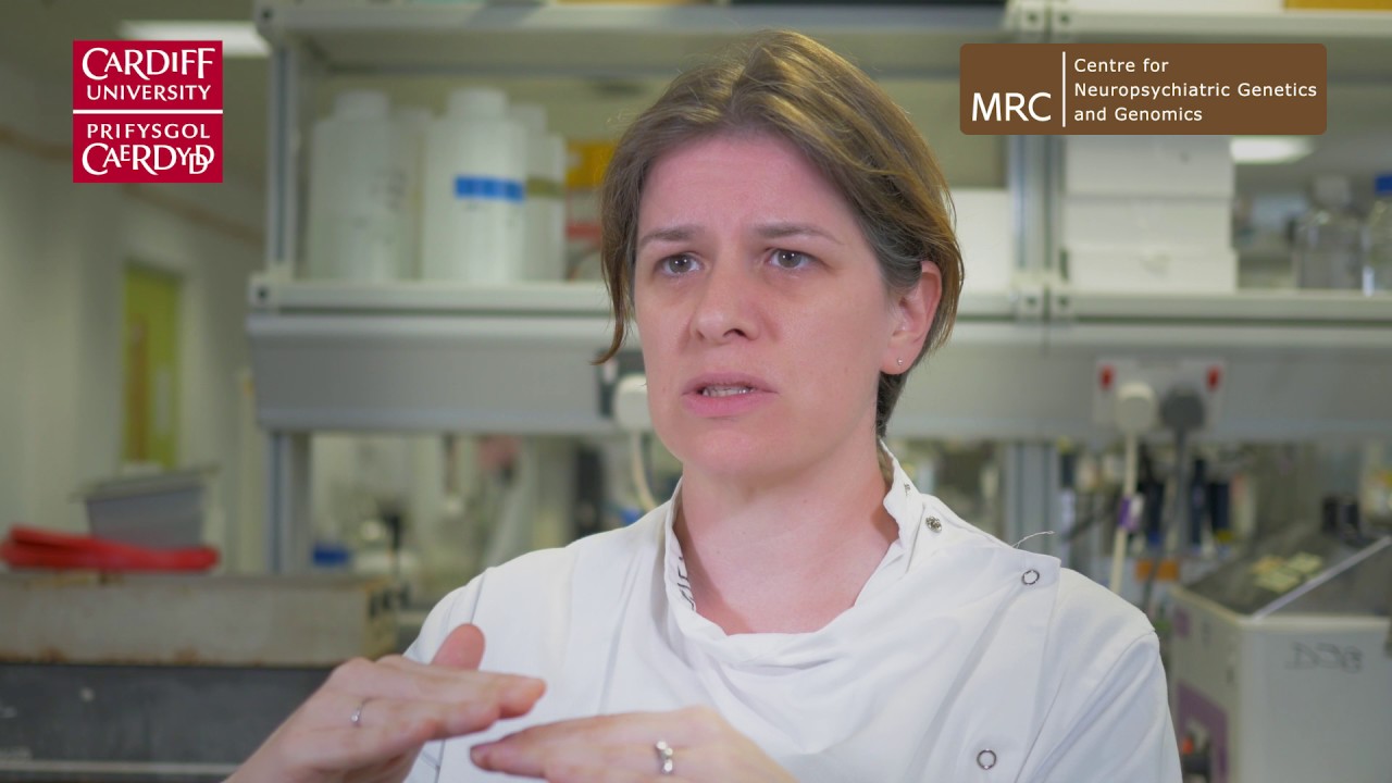 How we extract DNA from blood samples