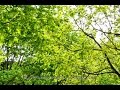 Seigneur des Temps Nouveaux - Scouarnec / Akepsimas