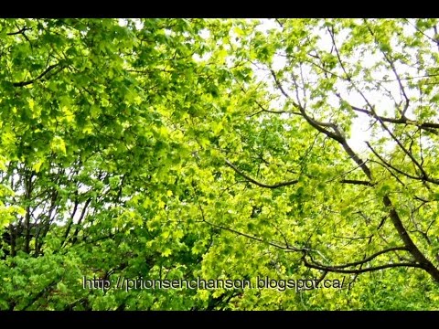 seigneur-des-temps-nouveaux---scouarnec-/-akepsimas