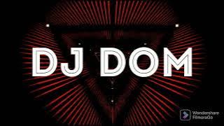 Palanathu Kuruvi Remix Ft DJ Dom