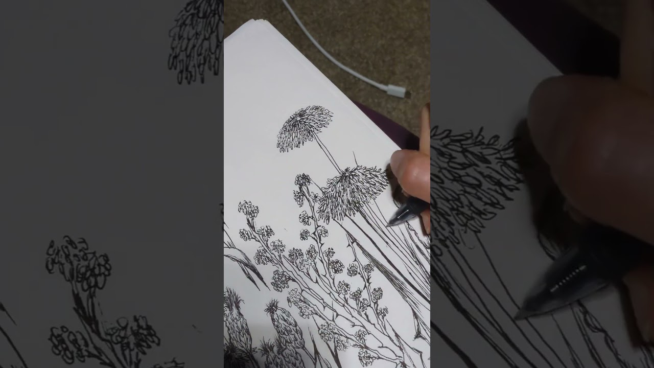 stop and watch my garden grow 