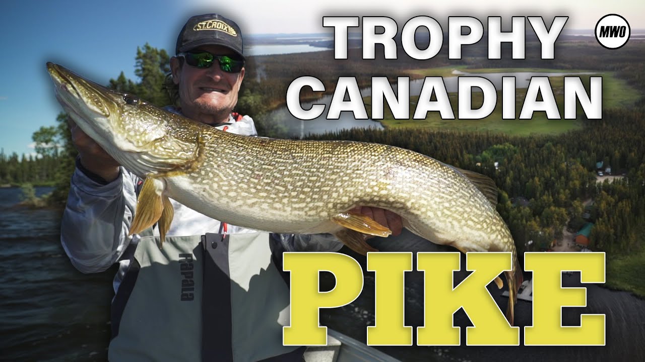 Big Pike in Saskatchewan - YouTube
