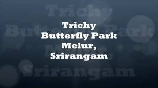 Butterfly Park Trichy Srirangam