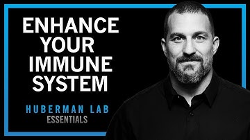 “Using Your Nervous System to Enhance Your Immune System | Huberman Lab Essentials
